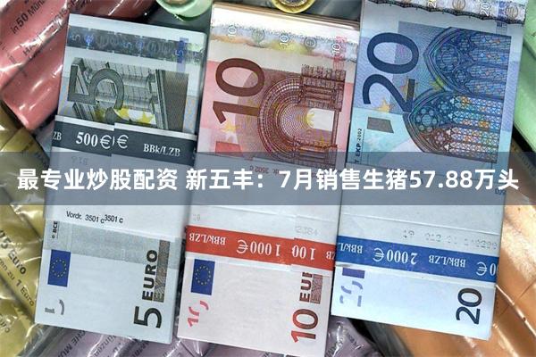 最专业炒股配资 新五丰：7月销售生猪57.88万头