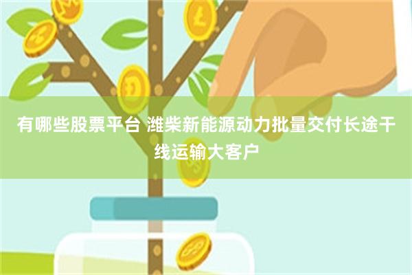 有哪些股票平台 潍柴新能源动力批量交付长途干线运输大客户