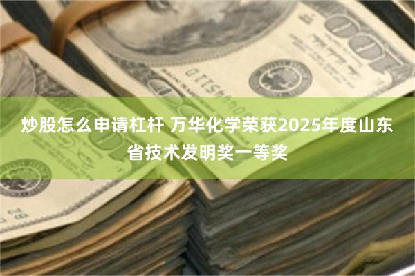 炒股怎么申请杠杆 万华化学荣获2025年度山东省技术发明奖一等奖