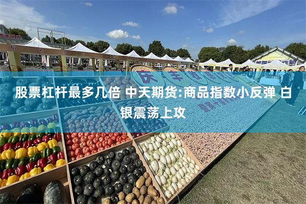 股票杠杆最多几倍 中天期货:商品指数小反弹 白银震荡上攻