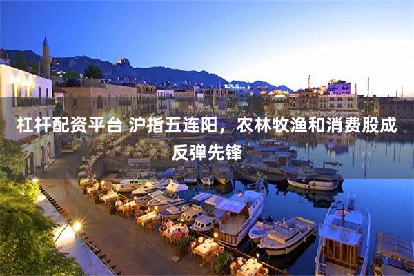 杠杆配资平台 沪指五连阳，农林牧渔和消费股成反弹先锋