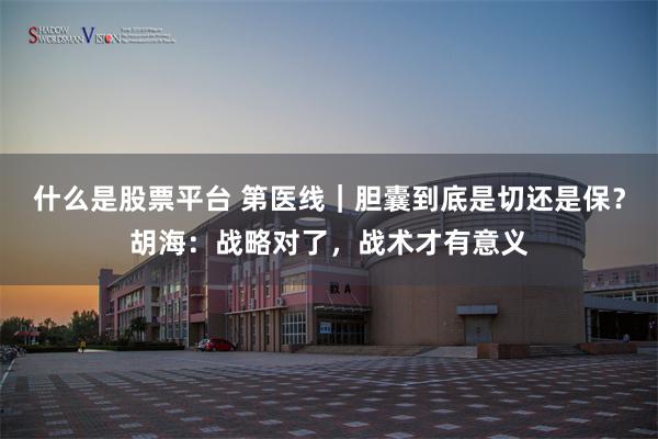 什么是股票平台 第医线｜胆囊到底是切还是保？胡海：战略对了，战术才有意义