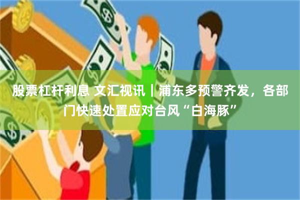股票杠杆利息 文汇视讯｜浦东多预警齐发，各部门快速处置应对台风“白海豚”