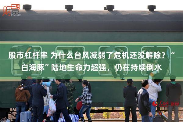股市杠杆率 为什么台风减弱了危机还没解除？“白海豚”陆地生命力超强，仍在持续倒水