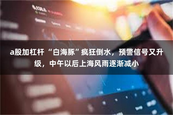 a股加杠杆 “白海豚”疯狂倒水，预警信号又升级，中午以后上海风雨逐渐减小