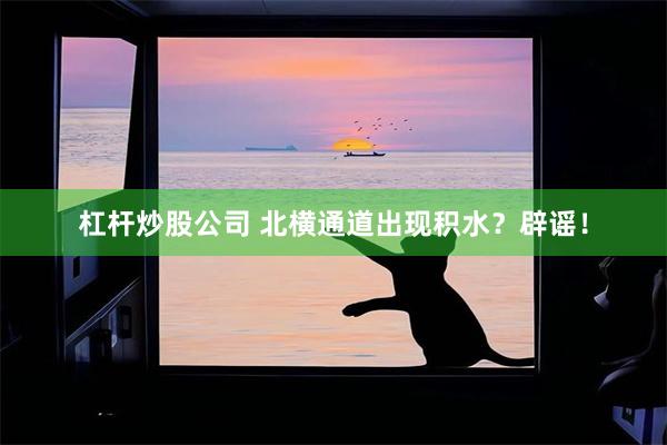 杠杆炒股公司 北横通道出现积水？辟谣！