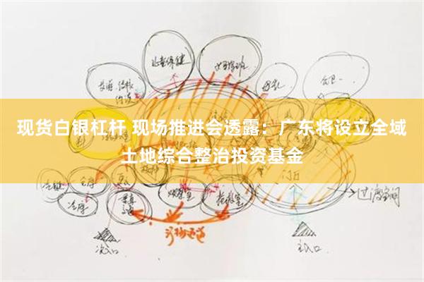 现货白银杠杆 现场推进会透露：广东将设立全域土地综合整治投资基金