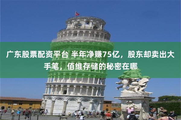 广东股票配资平台 半年净赚75亿,股东却卖出大手笔,佰维存储的秘密在哪
