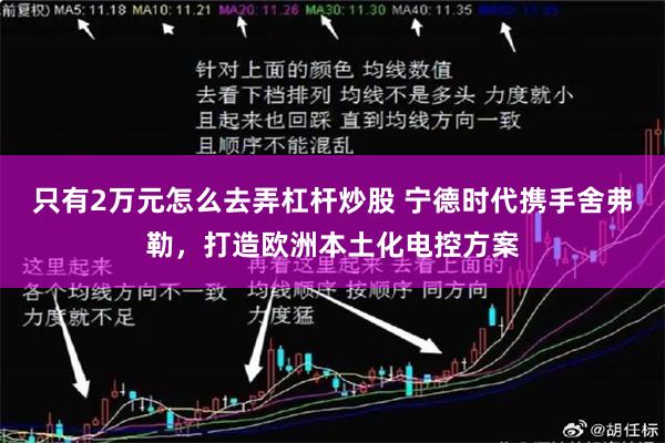 只有2万元怎么去弄杠杆炒股 宁德时代携手舍弗勒,打造欧洲本土化电控方案