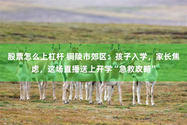 股票怎么上杠杆 铜陵市郊区:孩子入学,家长焦虑,这场直播送上开学“急救攻略”