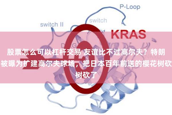 股票怎么可以杠杆交易 友谊比不过高尔夫？特朗普被曝为扩建高尔夫球场，把日本百年前送的樱花树砍了