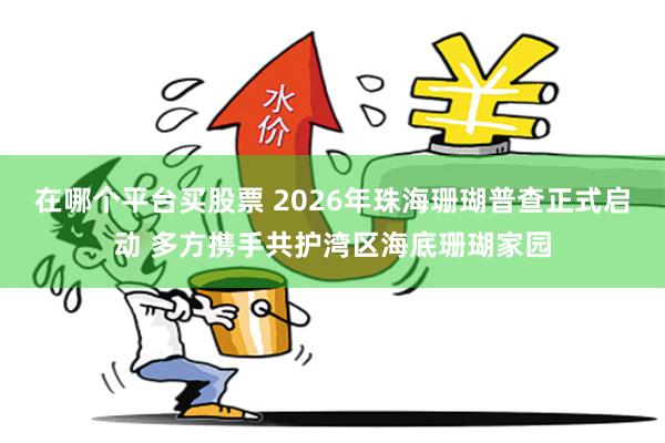 在哪个平台买股票 2026年珠海珊瑚普查正式启动 多方携手共护湾区海底珊瑚家园
